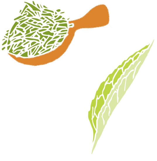 イラスト