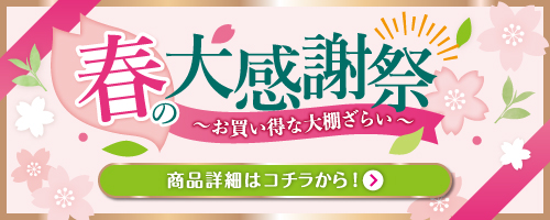 �ێR���t�̑労�ӍՂ��w���͂�����